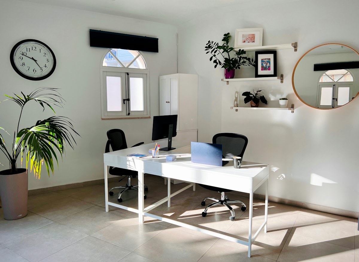 Modern office with two desks and plants